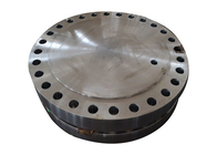 La venta caliente ISO9001 certifica 304 316 D900 de alta presión Tubesheet de acero alrededor del disco de acero